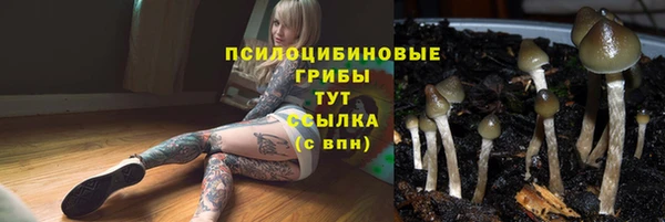 круглые Бронницы