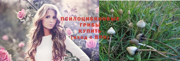 СК Верхнеуральск